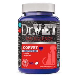 Corvet