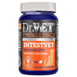 Intestvet